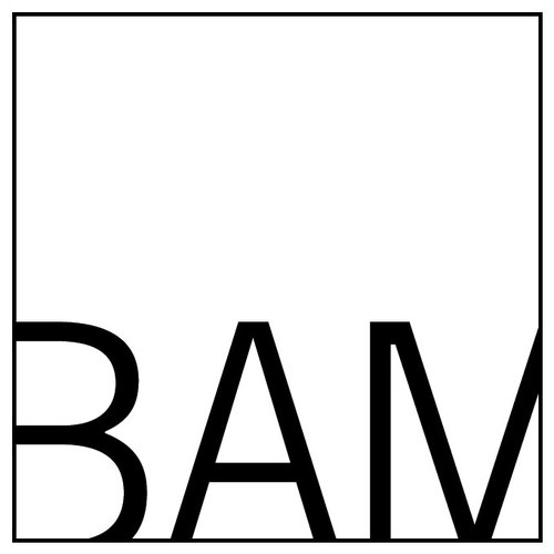 partner name or logo : BAM