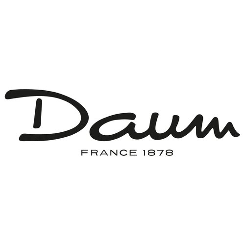 partner name or logo : DAUM
