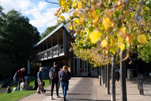 Yorkshire Sculpture Park art gallery