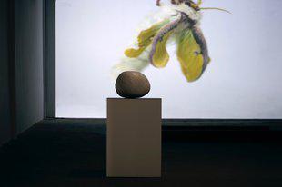 FALSE FLAG art gallery