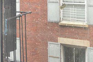 THEODORE art gallery