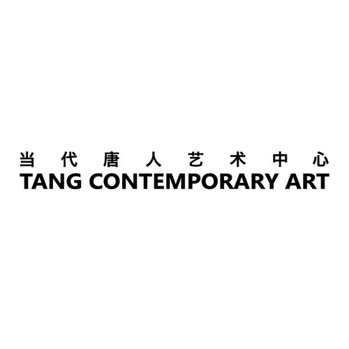 partner name or logo : Tang Contemporary Art