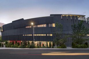 Nevada Museum of Art art gallery