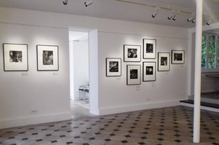 Galerie Folia art gallery