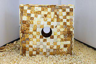 The Border Project Space art gallery