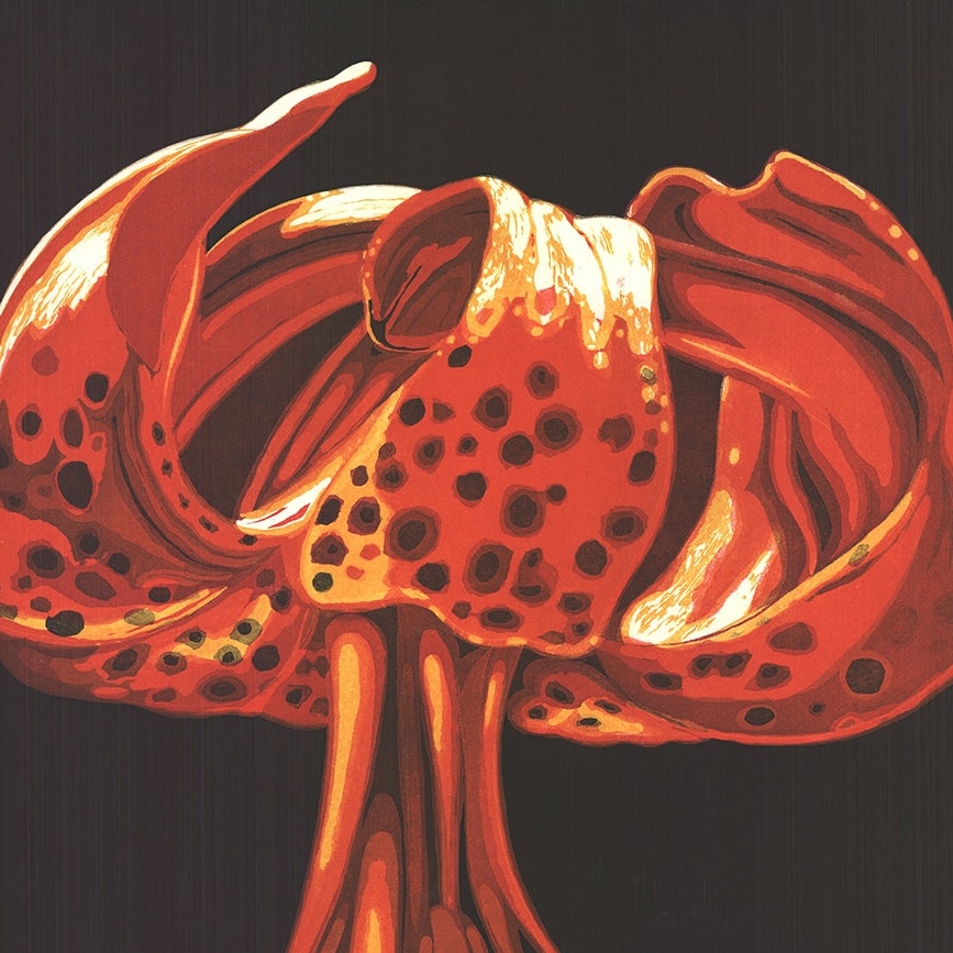 Image One