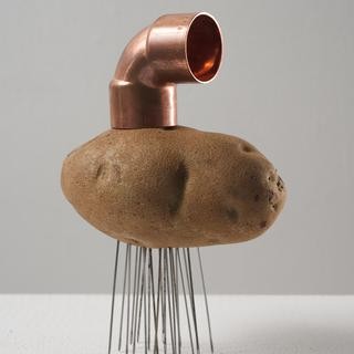 Amalia Pica, Instructions to make Catachresis #13 (elbow of the pipe, eye of the potato, eye of the needle)