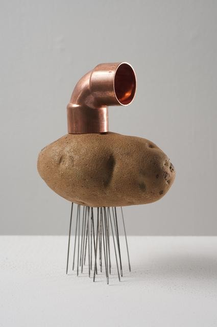 Instructions to make Catachresis #13 (elbow of the pipe, eye of the potato, eye of the needle)