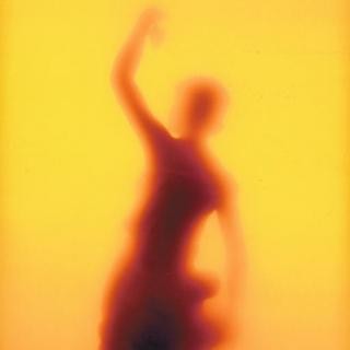 Andres Serrano, Piss Elegance