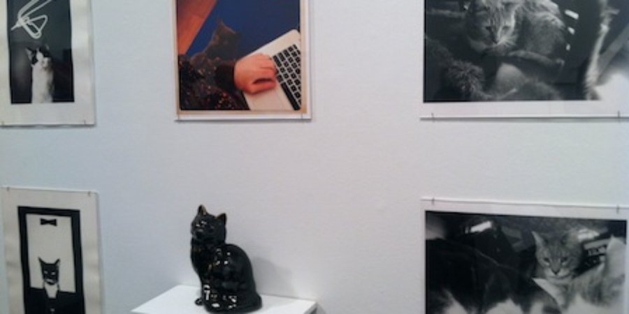 Meow Mix: "The Cat Show" Opens At White Columns