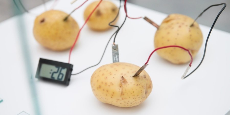 Victor Grippo's 'Tiempo' recasts a common scientific experiment as art, powering a clock using zinc and copper electrodes wired to potatoes.