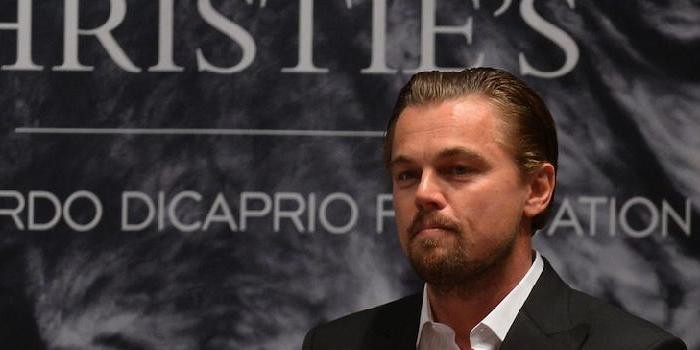 Leonardo DiCaprio, and His Record-Breaking Environmental Charity Sale