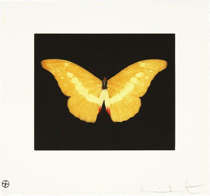 Damien Hirst, To Lure