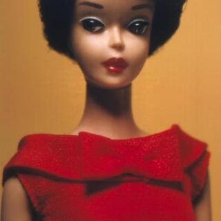 David Levinthal, Barbie 64