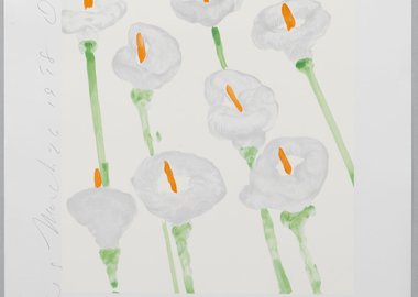 work by Donald Sultan - Lilies #:2722