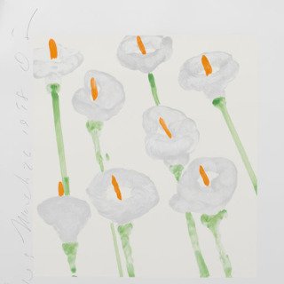 Lilies art for sale