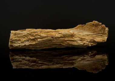 work by Frank Benson - Petrified Wood #:4709