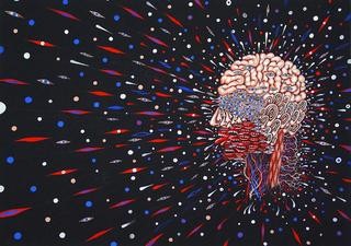 Fred Tomaselli - Artists - James Cohan