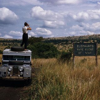 Uganda. 1958. Queen Elizabeth National Park. 'Elephants have Right Of Way' sign on crater lake track in the Queen Elizabeth National Park. art for sale