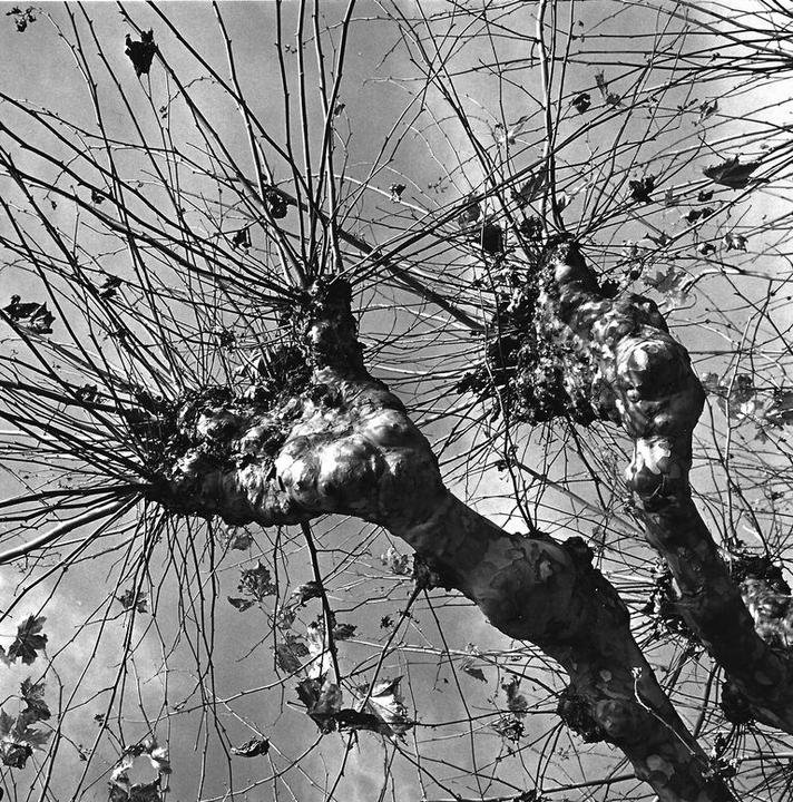 graciela iturbide