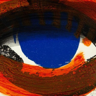 Howard Hodgkin, Eye