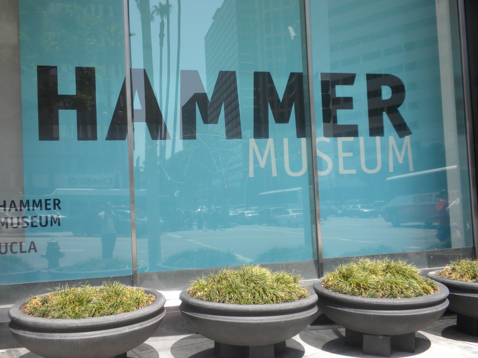 partner name or logo : Hammer Museum