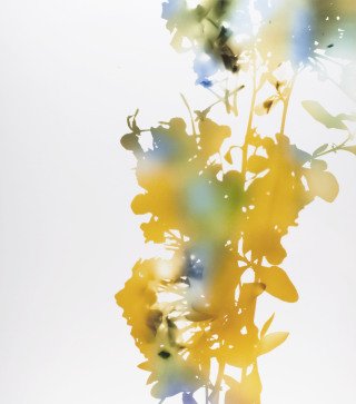 James Welling - 001, 2006 from 