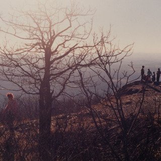 Justine Kurland, Meeting on the Hill