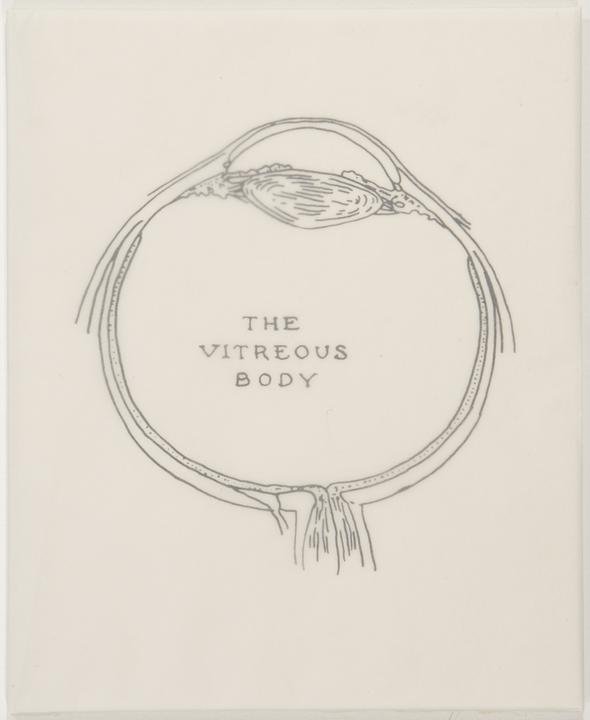 by kiki_smith - The Vitreous Body