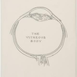 Kiki Smith, The Vitreous Body