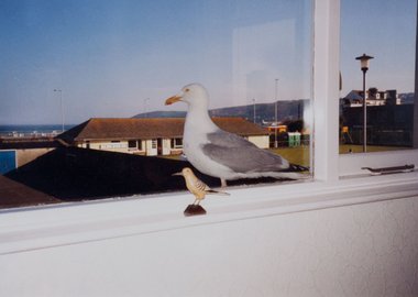 work by Mona Hatoum - Birds of a Feather #:946