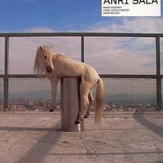 Anri Sala art for sale