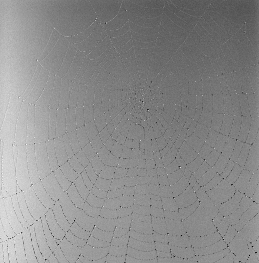 exhibition - Web #11